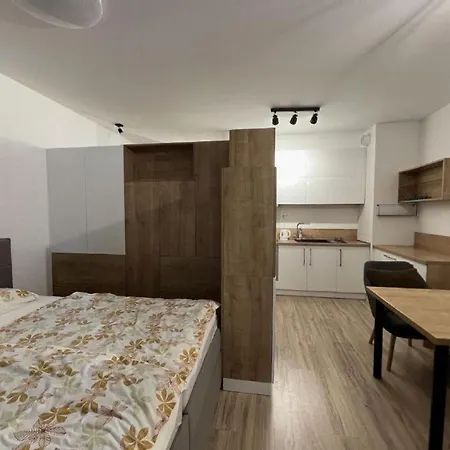 1 With Terrace, Petrzalka Apartment